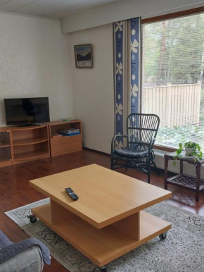 Apartment with sauna in Harjavalta, free WIFI, Harjavalta